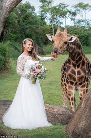 I, bindi irwin, take you to be my wedded husband, bindi says. Pin On The Irwins