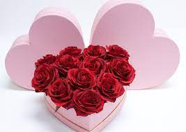 We did not find results for: W9648 Pink Heart Shape Flower Box Set Of 3