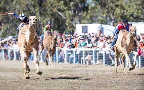 It's our town's signature event attracting visitors from across australia. Tara Festival Of Culture And Camel Races Highlife Magazine