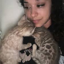 Adorable Leopard Print Kittens