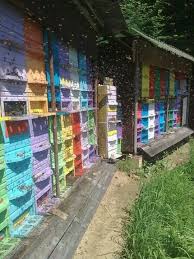 Pin By Lisa Rowley On Ahh Grateful Gardens Bee Keeping Backyard Bee Bee