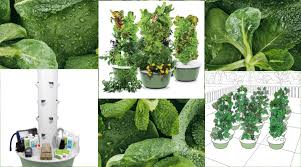 New and used items, cars, real estate, jobs, services, vacation rentals and more virtually anywhere in ontario. Best Tower Garden 2020 Reviews