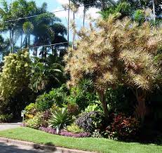 Denis Hundscheidt Tropical Garden Brisbane Australia Jardim Tropical Paisagismo Jardim