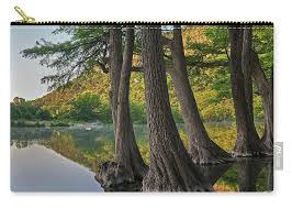 Texensis bigtooth maple acer grandidentatum a hill country native with spectacular fall color when growing conditions and weather permit. Bald Cypress Trees In River Frio River Old Baldy Mountain Garner State Park Texas Carry All Pouch For Sale By Tim Fitzharris