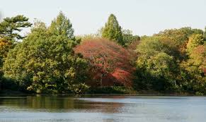 6,329 likes · 80 talking about this · 62,882 were here. Belmont Lake State Park West Babylon Ny Mapio Net