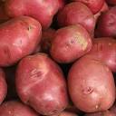 Amazon.com: Patatas rojas, 10 lb : Comida Gourmet y Alimentos