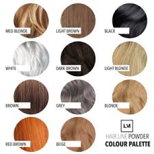 2020 popular 1 trends in hair extensions & wigs, toys & hobbies, beauty & health with root blonde hair and 1. Leon Miguel Ansatzpuder Lichtes Haar Kaschieren Mit Hair Line Powder Leon Miguel