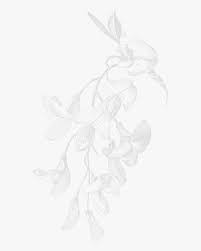 White Flowers Aesthetic Transparent Hd Png Download Transparent Png Image Pngitem Flower, watercolor aesthetic style floral wreath, white and pink flowers painting, watercolor painting, watercolor leaves png.