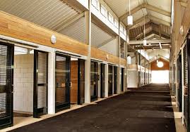 High Stall Fronts Dream Horse Barns Horse Barn Designs Barn Stalls