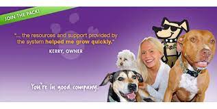 The dogtopia franchise is a premier provider of dog day care, boarding and grooming services in north consistent recurring daycare revenue making up 65% of sales. Central Bark Doggy Day Care Franchise For Sale Businessbroker Net