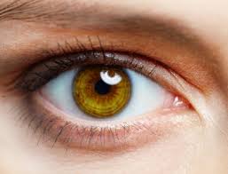 And my law as the apple of thine eye.' proverbs 7:2. Apple Of My Eye Meaning Origin Know Your Phrase