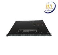 3624 | Invensys Triconex | Digital I/O Module​ Supplier | Amikon
