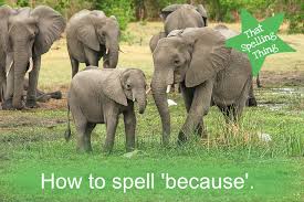 How to use spell in a sentence. Spelling Mnemonics How To Spell Because