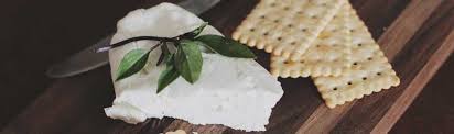 Yes they can eat plain crackers which are not seasoned. Can Hamsters Eat Cream Crackers Furry Facts