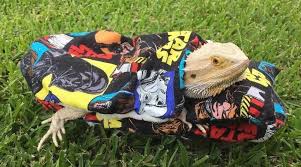 Star Wars Design Lrg Attachable Resting Soft Bed Set Cover 4 Bearded Dragons Ebay Star Wars Prints Baby Bearded Dragon Bearded Dragon