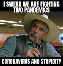 Pin On Truths Funnies