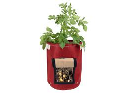 You will receive 5 packets of assorted seeds, 5 starter growing pots, 5 natural coconut. 10 Easy Pieces Potato Growing Kits Gardenista