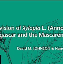 Image result for Xylopia lukei