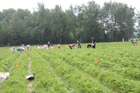 Image result for tbn:0PJB32OL7JwfOM::farm4.static.flickr.com/3324/3329876139_f2d551139f.jpg