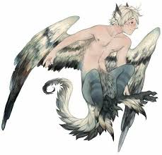 Griffin Human Fantasy Character Design Creature Art Fantasy Art