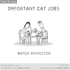 Pin By Valerie Strebeck On Tess And Lion By Lastlemon Cat Jokes Cats Funny Cats