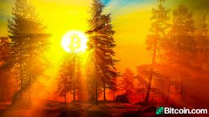 Convert bitcoins to nigerian nairas with a conversion calculator, or bitcoins to nairas conversion tables. 10 Year Old Block Rewards Wake Up Data Parsers Catch A String Of 1 000 Satoshi Era Bitcoins From 2010 Spent Today Bitcoin News