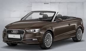 Image result for Beluga Brown 2015 A3