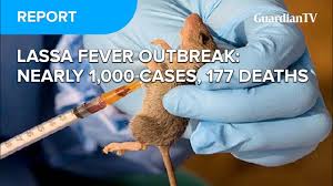 Image result for Lassa Fever