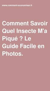 epingle sur anti insectes et anti parasites