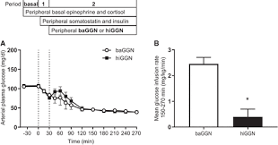 Although these thresholds have been commonly quoted and used, the level of plasma glucose. The Kinetics Of Glucagon Action On The Liver During Insulin Induced Hypoglycemia American Journal Of Physiology Endocrinology And Metabolism