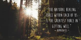 In all things of nature there is something of the marvelous. buddha, monk and sage, on whose teaching buddhism was founded (c. 35 Successful You Are My Medicine Quotes Food As Medicine Love Medicine Quotes