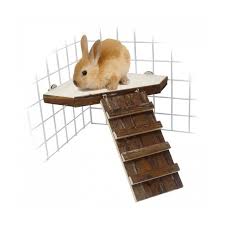 Clapier En 2020 Rongeur Jeu Pour Lapin Jouets Pour Animaux De Compagnie