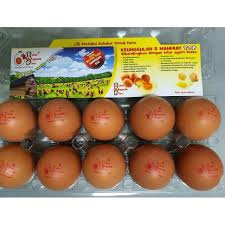 Performan ayam broiler yang diberi berbagai tingkat protein hewani dalam ransum. Telur Organik Plus Original Bebas Kolesterol 1kotak 10butir Via Gojek Medan Shopee Indonesia
