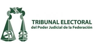 Tribunal electoral del poder judicial de la federación de. Tepjf Resolvera De Manera No Presencial Por Covid 19 Voces Del Periodista Diario