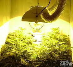 400 watt grow light how many plants. Hps Grow Lights