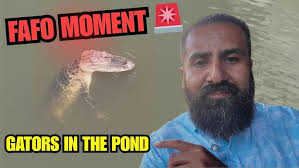 MANY MEDATATIONS WITH WILLIS