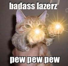 They behave exactly how you deal with them. Funny Animal Memes Videos Home Facebook