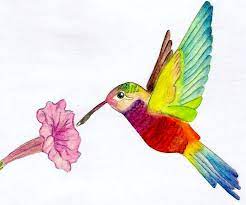 Hummingbird 1 By Helen Shellard Easy Art Drawing Painting Nature Bird Flower Nature Birds Art Art Drawings Text © kenn kaufman, adapted from lives of north american birds. art drawings