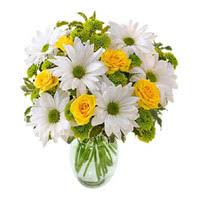 Send mothers day flowers, gifts, chocolates & hampers to india. Flowers To India Send Gifts To India Cake Delivery In India
