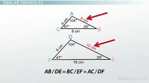 These two triangles are similar: Aa Similarity Postulate Theorem Video Lesson Transcript Study Com