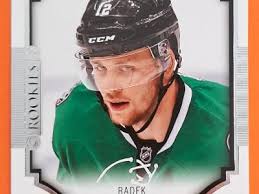 CZ/SK NHL RADEK DVOŘÁK