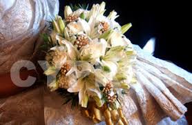 We did not find results for: Bridal Bouquets Asiatic Bouquet à¤« à¤² à¤• à¤— à¤²à¤¦à¤¸ à¤¤ à¤« à¤² à¤µà¤° à¤¬ à¤• In Kochi Cyprus Wedding Stage Events Id 6341827462