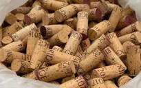 12 Types of Corks and Wine Closures - Ridge Vineyards