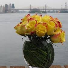 Check spelling or type a new query. 44 Best Flowers For Nyc Hospitals Ideas Flower Delivery Bright Flowers Nyc Hospitals