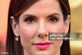 1,550 Sandra Stone Photos & High Res Pictures