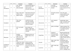 Animal cell parts and functions biography. Structure And Function Chart