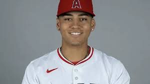 Tiene Chihuahua cierre de Oro