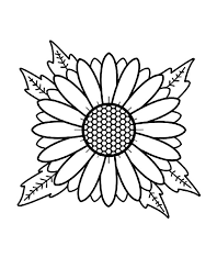 Johanna manbeck apr 23, 2021 5 out of 5 stars. Aster Flower Head Coloring Pages Bulk Color