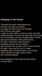 Sleeping In The Forest Mary Oliver Pretty Words Mary Oliver Poems Words