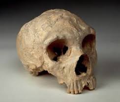 Gli uomini di neanderthal erano capaci di accendere il fuoco, raccoglievano i frutti della terra, sapevano cacciare e pescare. Neanderthal Sapere It
